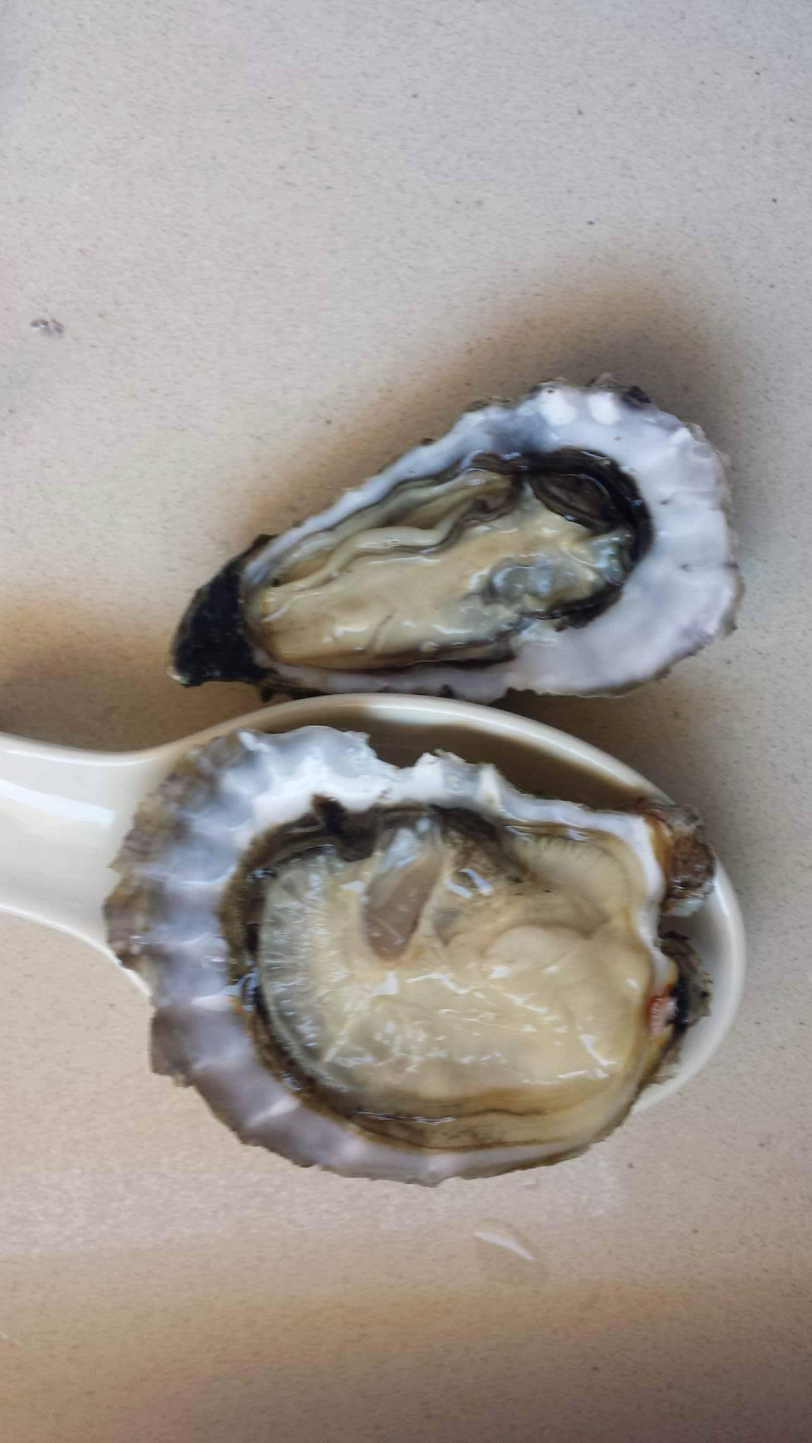 French Oysters