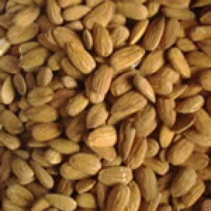 Raw Almonds Nuts for sale