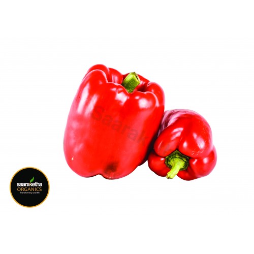 Bell Pepper (Red)