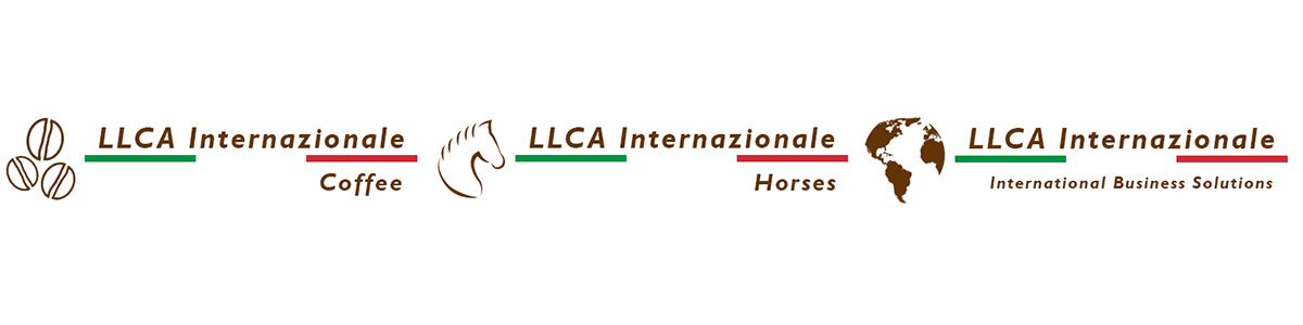 LLCA Internazionale