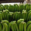 Bananas cavendish Ecuador