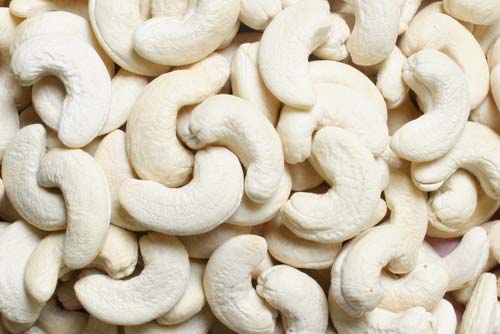 Cashew Nut Kernel 