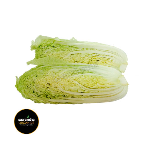 Cabbage (Chinese)