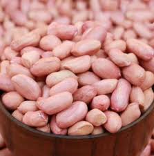 Raw Nuts and Kernels Available on Bulk Sale Inquiry