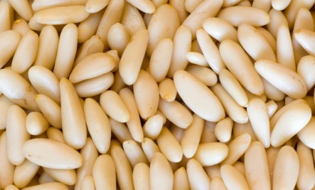 Pine nuts for sell
